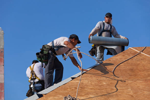Residential Roof Replacement in Lacon, IL